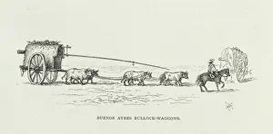 Equus Prints: Buenos Ayres Bullock-wagons