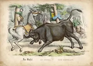 Bufalo and Hunters C1845