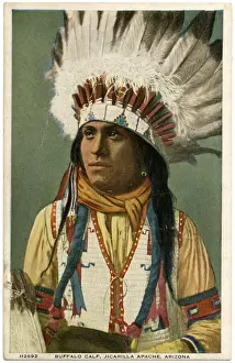 Arizona Prints: Buffalo Calf, Jicarilla Apache Indian, Arizona, USA