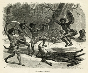 Africans Gallery: Buffalo dance
