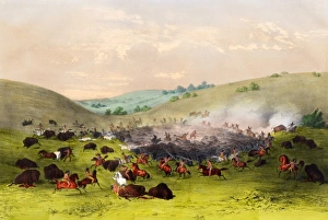Images Dated 8th September 2011: The Buffalo Hunt