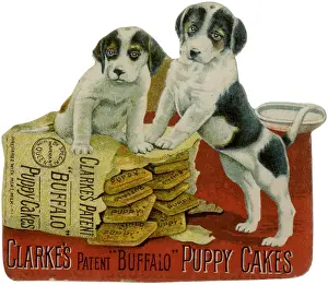 Buffalo Puppy Cakes Ad