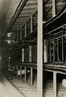 Images Dated 12th July 2017: Building Escalators