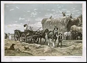 BUILDING THE HAYSTACK