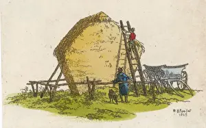 Building a Haystack