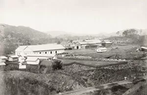Building Panama canal, Camp buildings