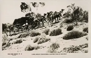 Commonwealth Prints: Building the Trans-Australian Railway - using a Camel Buggy