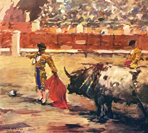 The Bull Fight
