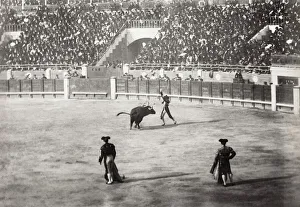 Images Dated 8th February 2021: Bull fighting in Cordoba, Spain