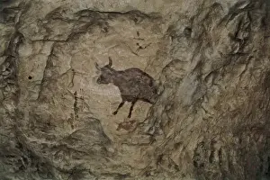Bull in Levantine naturalistic style from Abrigo
