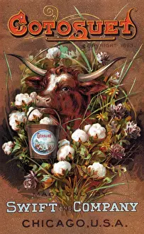 Bull with Pail Date: 1893