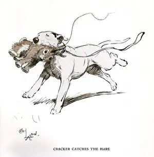 Bull terrier with hare