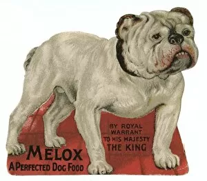 Warrant Collection: Bulldog Advertisement