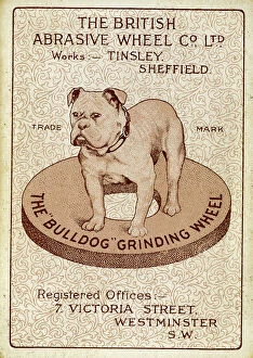 Bulldog Collection: Bulldog, The British Abrasive Wheel Co Ltd, Sheffield