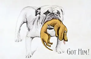 Jaws Prints: Bulldog Gets Dachshund