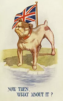 Images Dated 16th February 2012: Bulldog and Union Jack