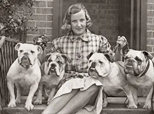 Bulldogs exhibited at Crufts dog show 1930 s