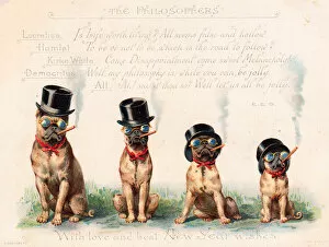 Four bulldogs on a greetings card