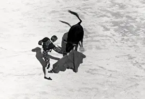 Toros Prints: Bullfight in France
