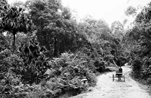 The Bulli Pass, NSW, Australia, Victorian period