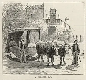 A Bullock Car