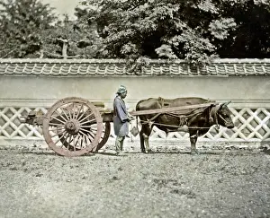 Bullock Prints: Bullock Cart, Japan