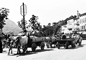 Bullock Prints: Bullock Cart, Lugano, Switzerland, Victorian period