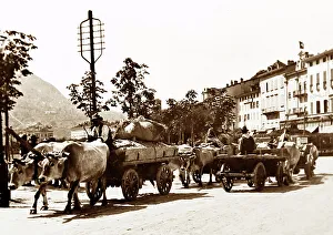 Bullock Cart, Lugano, Switzerland, Victorian period