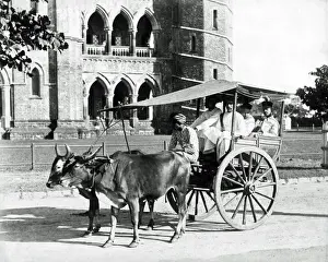 Bullock Prints: Bullock gharry, India