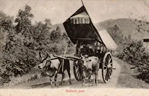 Spoked Prints: Bullock / Ox Cart with delightful mounted canopy, Singapore