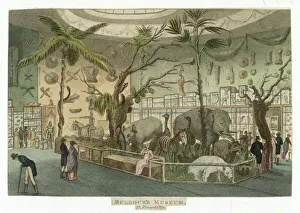 1811 Gallery: BULLOCKs MUSEUM 1811