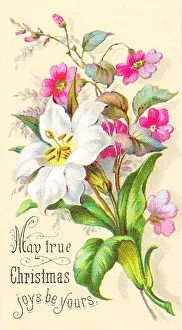 Bunch of flowers on a Christmas card