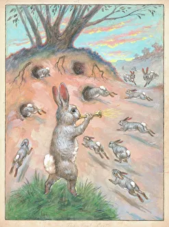 Warren Gallery: Bunnies returning to the warren