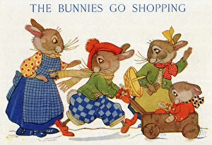Rabbits Collection: The Bunnies Go Shopping