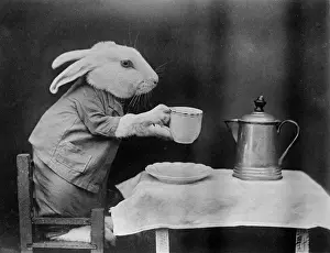 Break Prints: Bunny Coffee Break