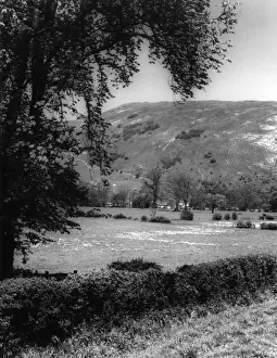 Bunster Hill