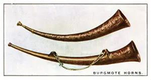 Burgmote Horns