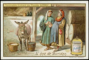 Donkey Collection: Buridans Ass / Arab Myth