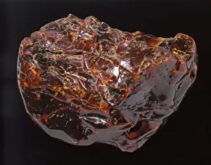 Resin Prints: Burmese amber