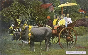 Spoked Prints: A Burmese Bullock Carriage