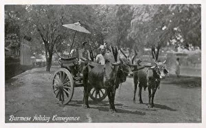 Conveyance Gallery: A Burmese Bullock Carriage - A Holiday Conveyance