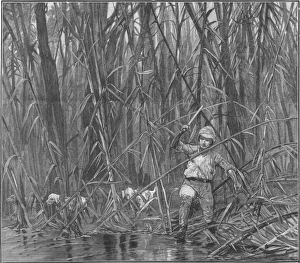 Apparently Gallery: In Burmese Jungle
