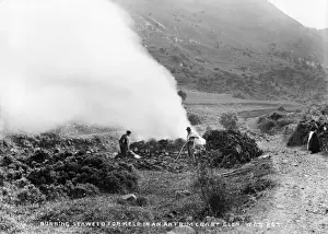 Seaweed Prints: Burning Seaweed for Kelp in an Antrim Coast Glen