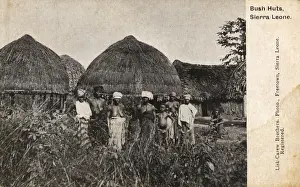 Bush Prints: Bush Huts - Village, Sierra Leone, West Africa