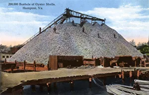Images Dated 6th November 2018: Bushels of oyster shells at Hampton, Virginia, USA