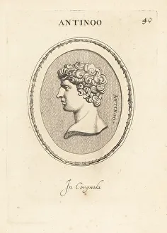 Bust of Antinous, Greek youth and favourite of Hadrian