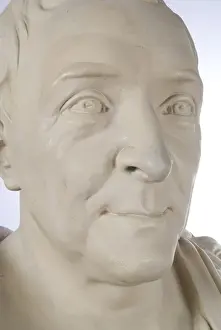 Bust of Carl Linnaeus (1707-1778)