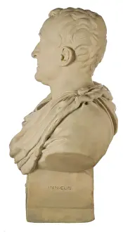 Bust of Carl Linnaeus