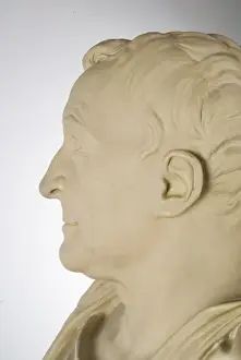 Bust of Carl Linnaeus