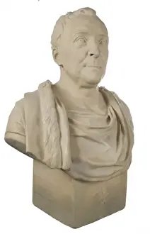 Bust of Carl Linnaeus